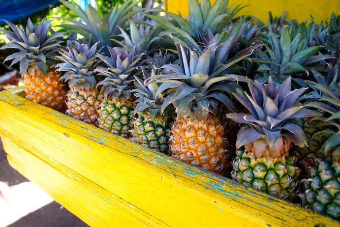 Half-Day Tour: A Taste of Paradise and History of Antigua - Snacks, drinks, and the small extras