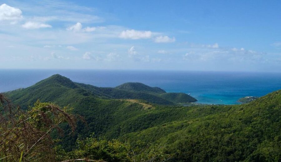 Hiking Combo Tours - Stingray City adds a memorable animal encounter