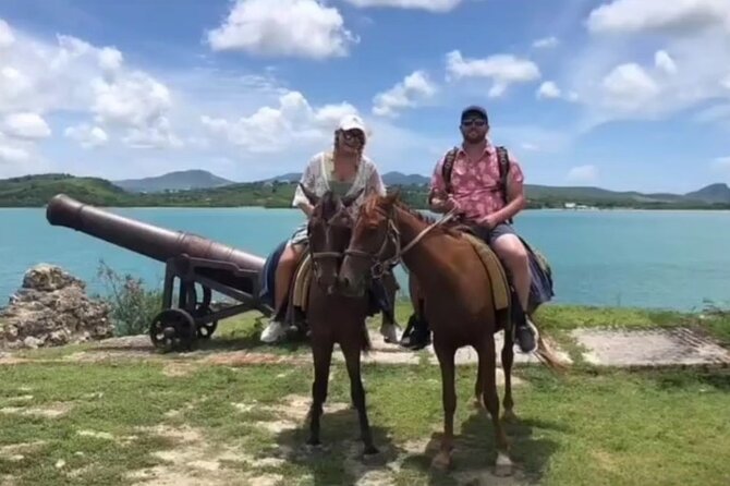 Horseback Riding at Hawksbill Beach in Five islands Antigua - Friendly horses and hands-on guides