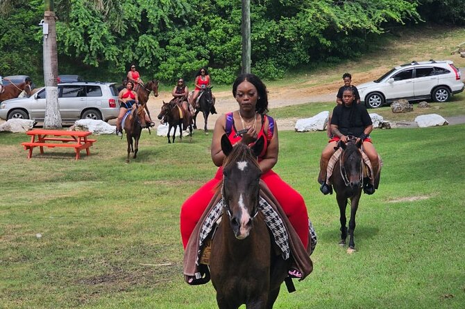 Horseback Riding at Hawksbill Beach in Five islands Antigua - What the $120 price really buys