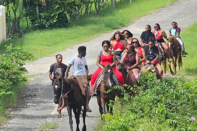 Horseback Riding at Hawksbill Beach in Five islands Antigua - Timing, weather, and cancellation advice