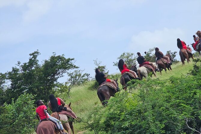 Horseback Riding at Hawksbill Beach in Five islands Antigua - The first 20 minutes: roads, hills, and a change of pace