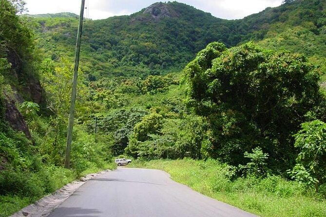 Island Safari 4x4 Discovery Tour from St John's - What the $185 price really covers