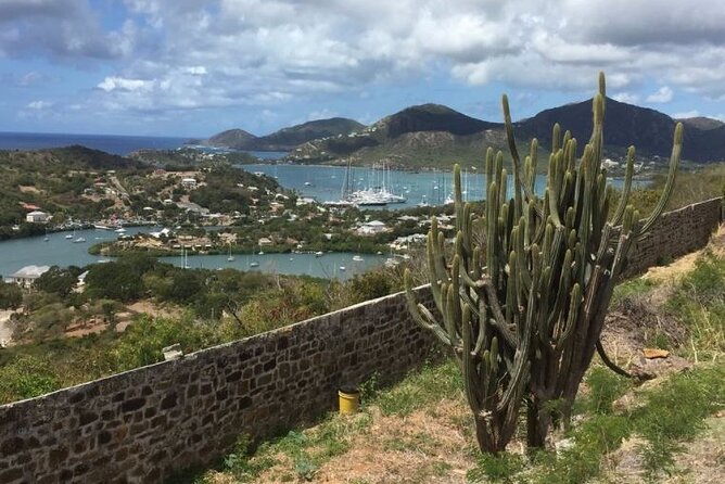 Luxury Island Platinum Tour - Fig Tree Drive trades forts for forest and hills