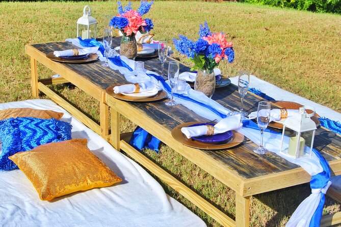 Luxury Private Picnic with Caribbean Cuisine - The price and what you are really buying