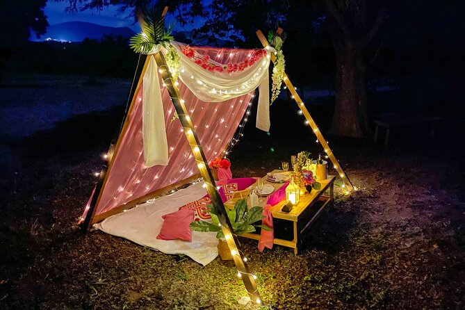 Luxury Private Picnic with Caribbean Cuisine - Who will get the most from this Antigua picnic