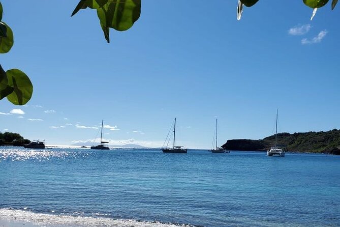 Private Snorkeling and Sightseeing Tour of Antigua - A Half-Day That Covers Antigua Above and Below Water