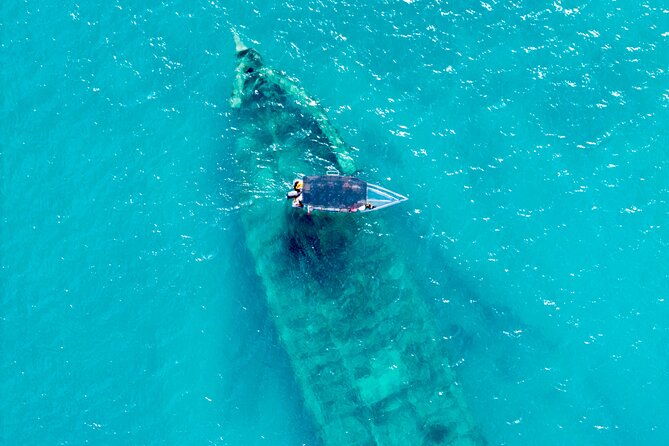 Reef Explorers Transparent Boat and Beach Tour - Key points to know before you book