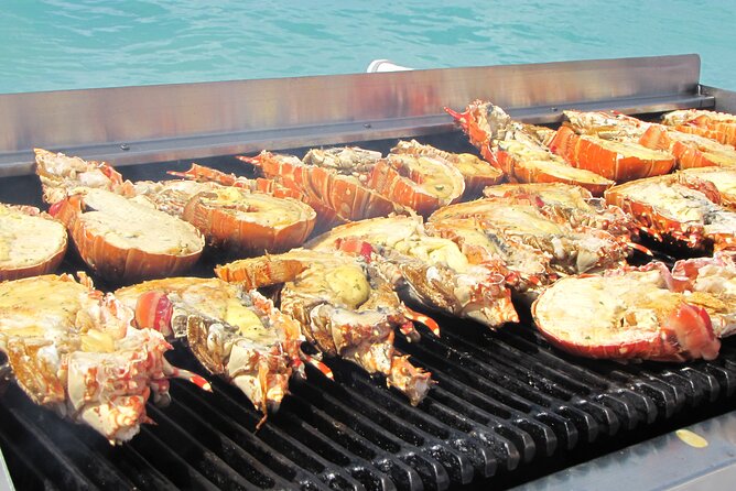 Sail and Snorkel at Cades Reef - The northbound sail, open bar, and music