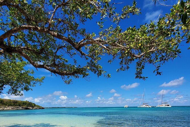 Snorkel - Lobster Lunch Cruise to Bird Island and Paradise Reef - Small details that make the day easier