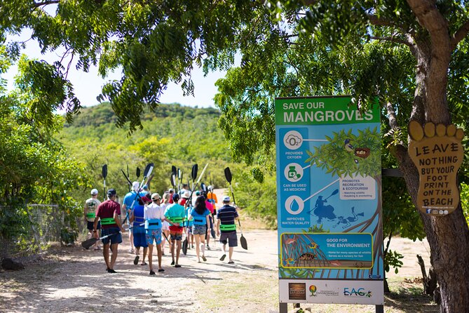 SoCoHo Eco Half Day - Mangrove Kayak & Reef Snorkeling - Snacks, rum punch, and the optional beach lunch