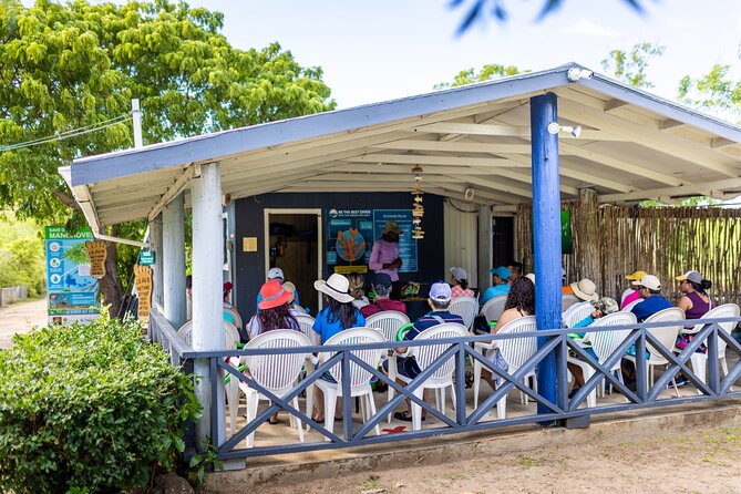 SoCoHo Eco Half Day - Mangrove Kayak & Reef Snorkeling - How much value do you get for $135?