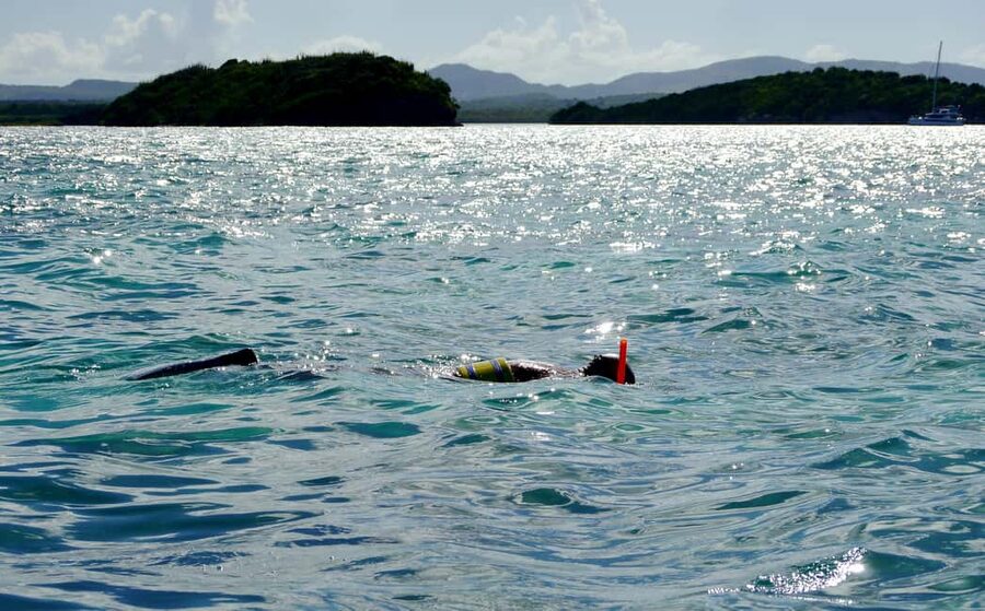 St. John's, Antigua Kayak, Snorkeling, & Beach Bird Island - Four ways this Antigua tour earns its place