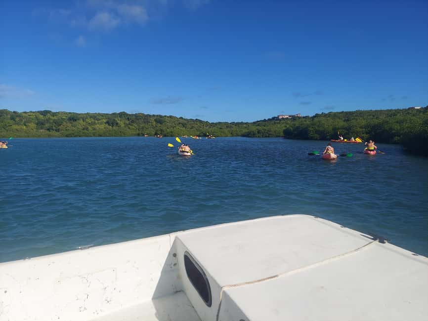 St. John's, Antigua Kayak, Snorkeling, & Beach Bird Island - My verdict on the Antigua kayak and snorkeling tour