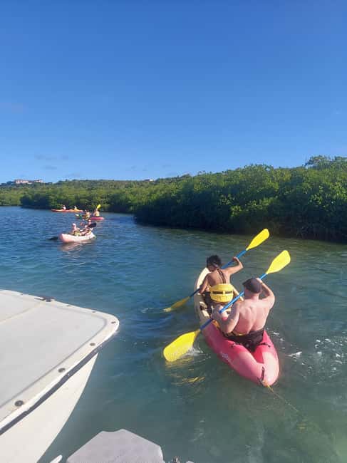 St. John's, Antigua Kayak, Snorkeling, & Beach Bird Island - Why this four-hour Antigua outing works