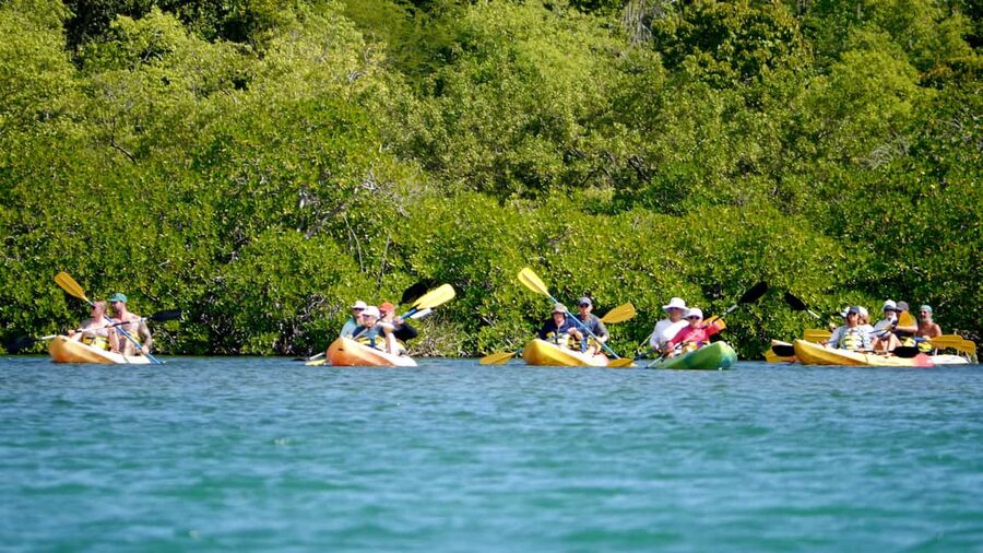 St. John's, Antigua Kayak, Snorkeling, & Beach Bird Island - North Sound Marine Park by kayak