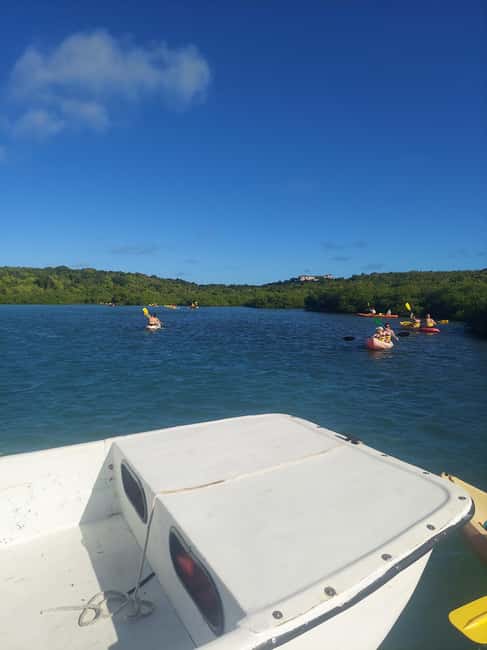 St. John's, Antigua Kayak, Snorkeling, & Beach Bird Island - Who will get the most from the $147 price