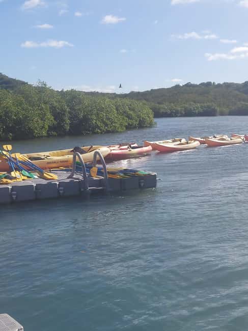 St. John's, Antigua Kayak, Snorkeling, & Beach Bird Island - Practical details before you reserve