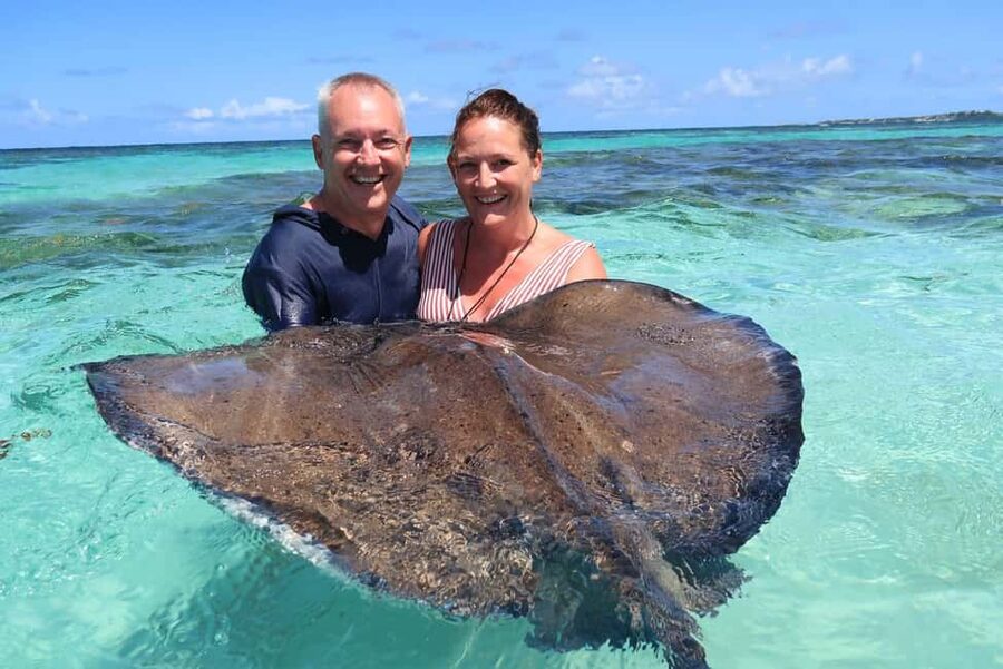St. John's; Combo Laviscount Island & Swimming with Stingray - Key points to know before booking