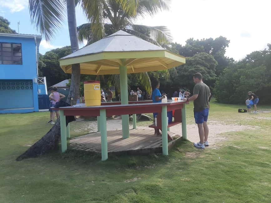 St. John's; Combo Laviscount Island & Swimming with Stingray - A wildlife day with a dose of Antigua