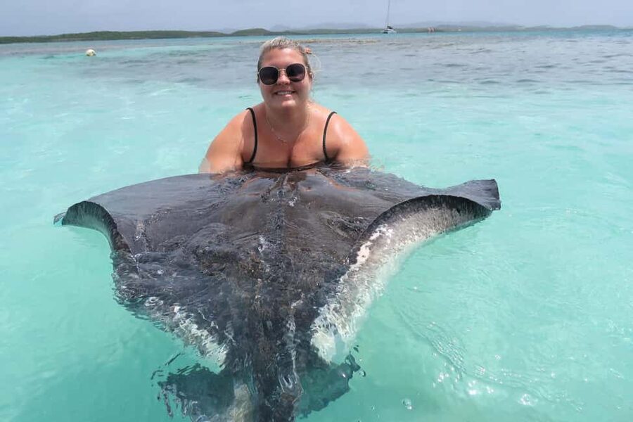 St. John's; Combo Laviscount Island & Swimming with Stingray - Stingray City: close contact in shallow water