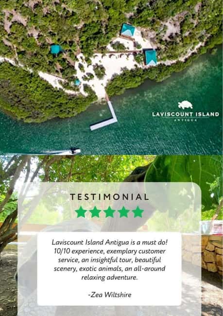 St. John's; Combo Laviscount Island & Swimming with Stingray - The guide can shape the whole outing