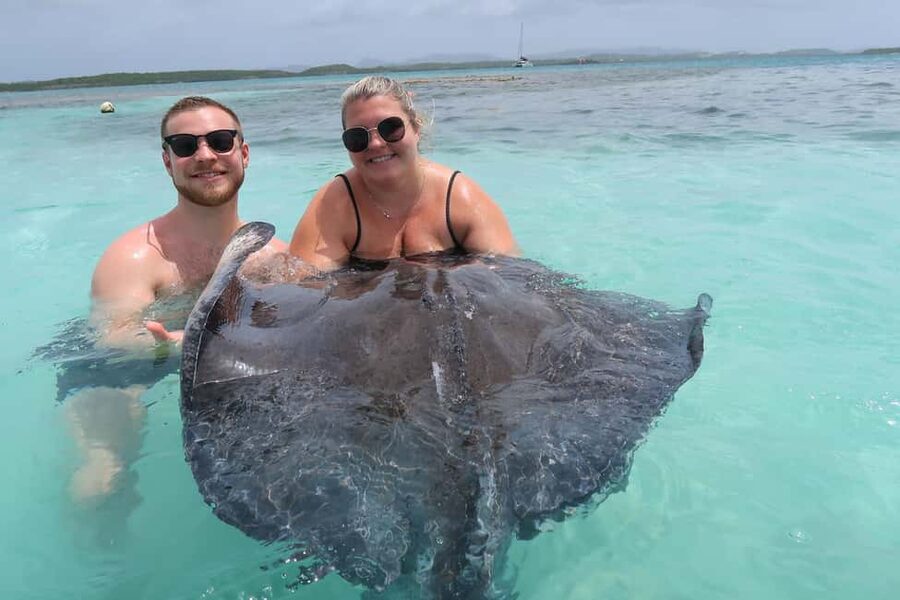 St. John's; Combo Laviscount Island & Swimming with Stingray - Seeing Antigua from the road