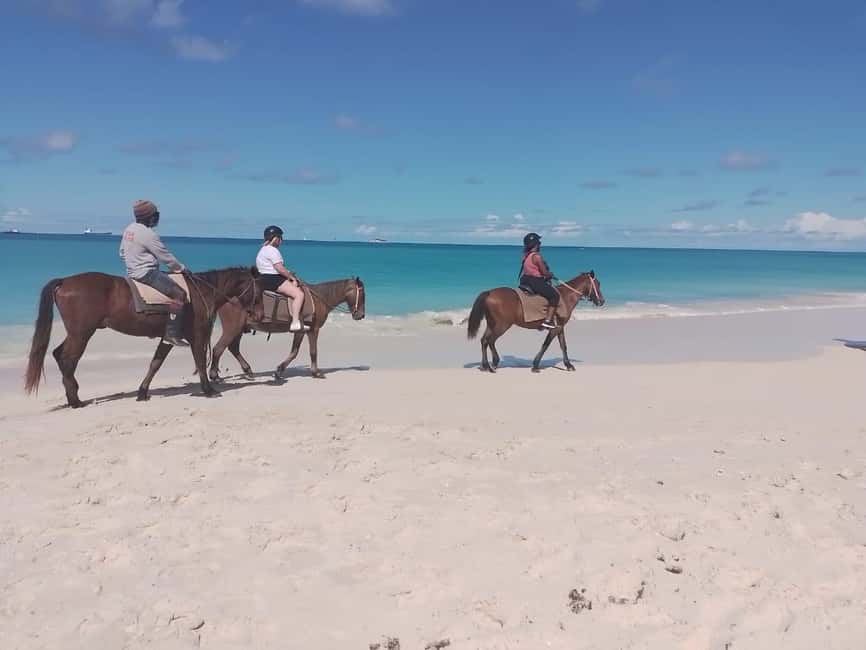 St. Johns: Horseback Riding Bareback Swim, &Fort James Beach - Why the horse swim is the main event