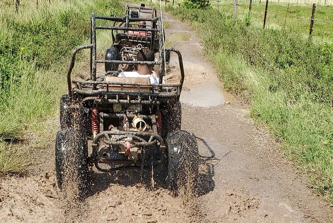 St. Mary's Mud Buggy Experience - Guides and the Quality of Commentary