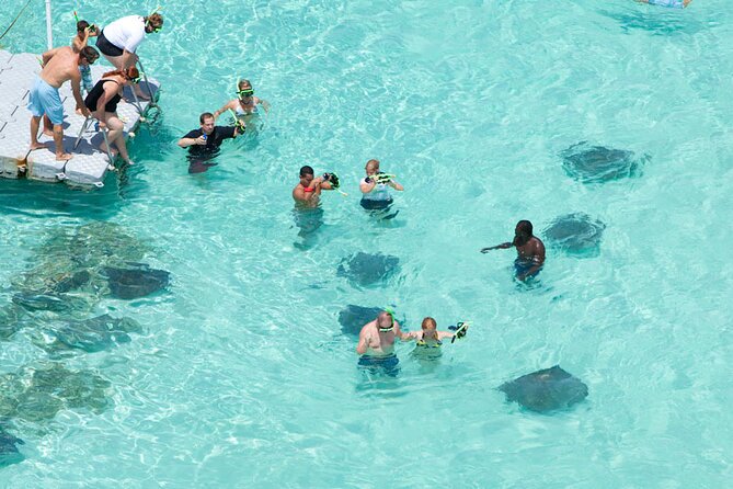 Stingray City - Meeting Antigua’s stingrays on the white sandbank