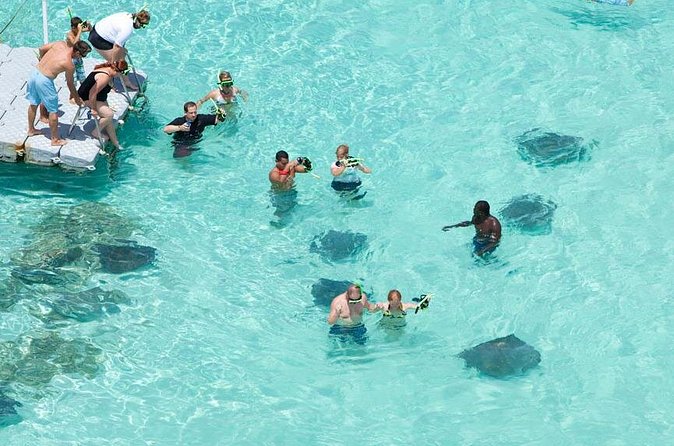 Stingray City - How much time will you really have?