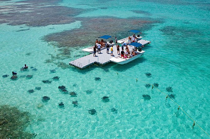 Stingray City - Who will enjoy Stingray City most?