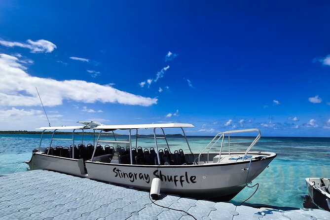 Stingray City Antigua for all the ages - ROUND TRIP INCLUDED - The guides can shape your whole morning