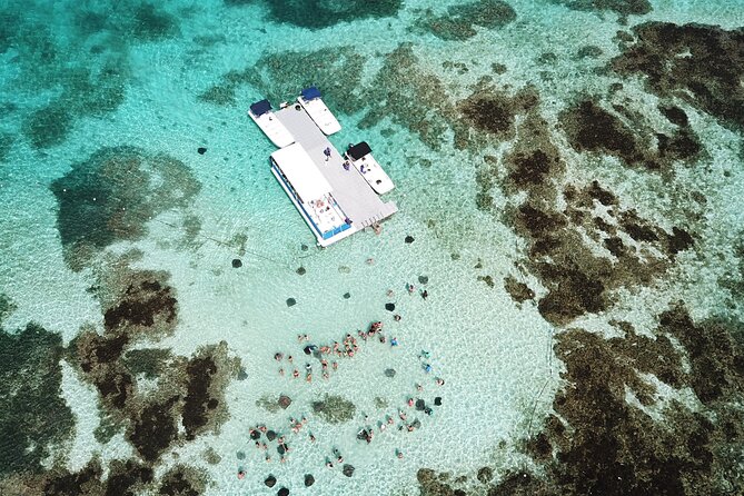 Stingray City Antigua for all the ages - ROUND TRIP INCLUDED - Who will enjoy this most