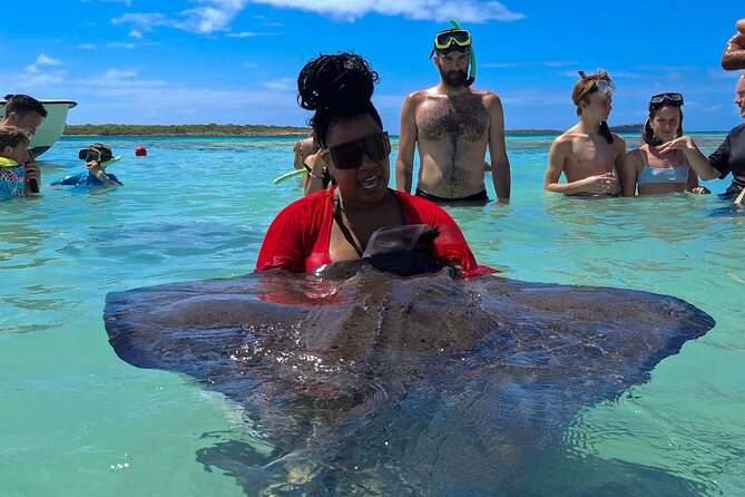 Stingray City Experience Antigua - Cruise Ship Passengers Edition - Why this Antigua encounter is worth your port day