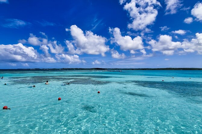 Stingray City Experience Antigua - Cruise Ship Passengers Edition - Touching, feeding, and photographing the rays
