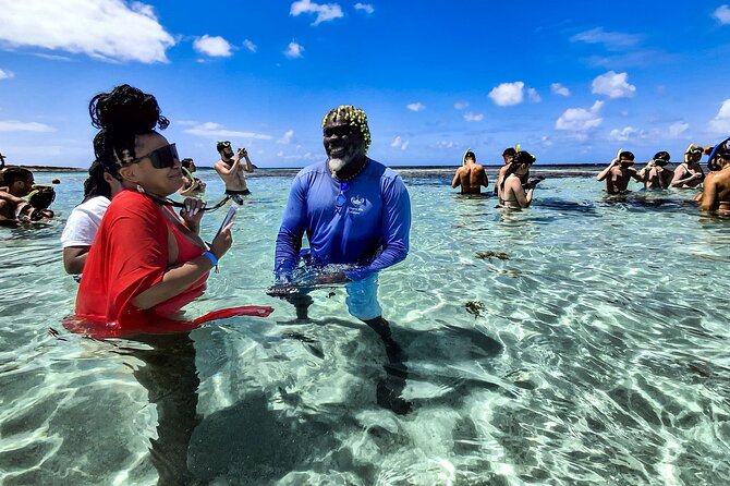 Stingray City Experience Antigua - Cruise Ship Passengers Edition - How the group size affects the experience