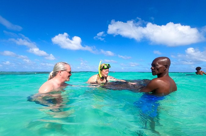 Stingray City Experience Antigua - Cruise Ship Passengers Edition - Practical advice for a smooth port-day outing