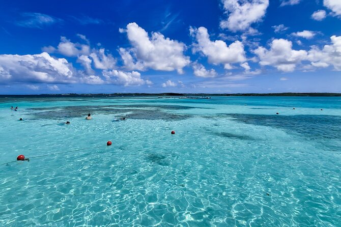 Stingray City experience, Devils Bridge and Long Bay Beach - What the $174.90 price really covers