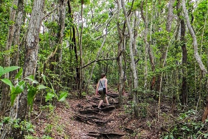 Trek Tours Hiking Experience in Antigua - Fort Berkeley combines walking with harbor history