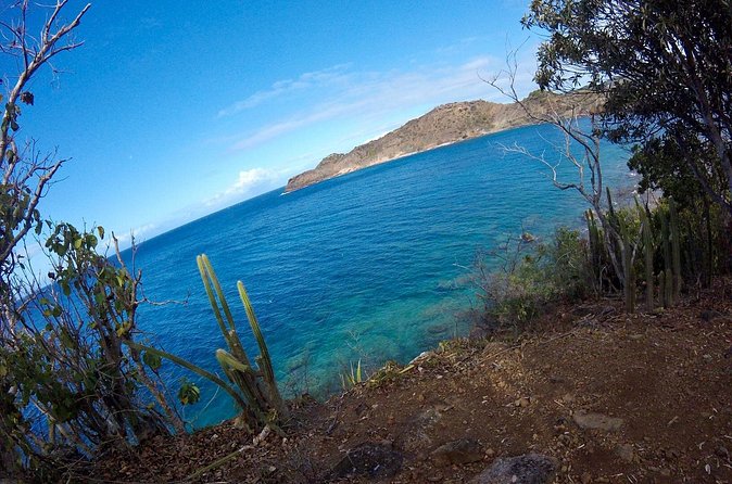 Trek Tours Hiking Experience in Antigua - Carpenter’s Rock and Boggy Peak demand more from you