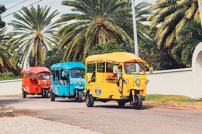 Tuk-Tuk Adventures Rainforest and Beach Hopping Tour - Why a tuk-tuk works well in Antigua