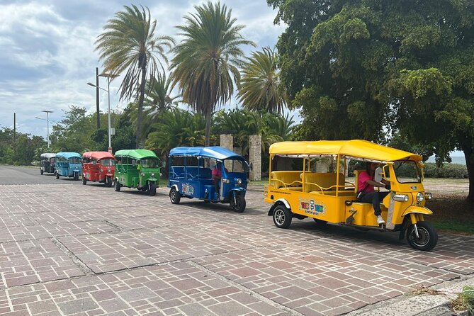 Tuk-Tuk Adventures Rainforest and Beach Hopping Tour - Fig Tree Drive and Antigua’s greener side