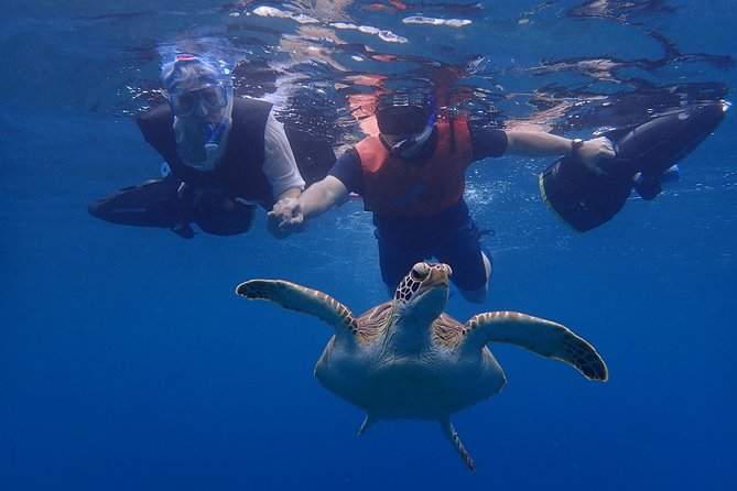 Turtle Beach Power Snorkeling Adventure - Why the included photos matter