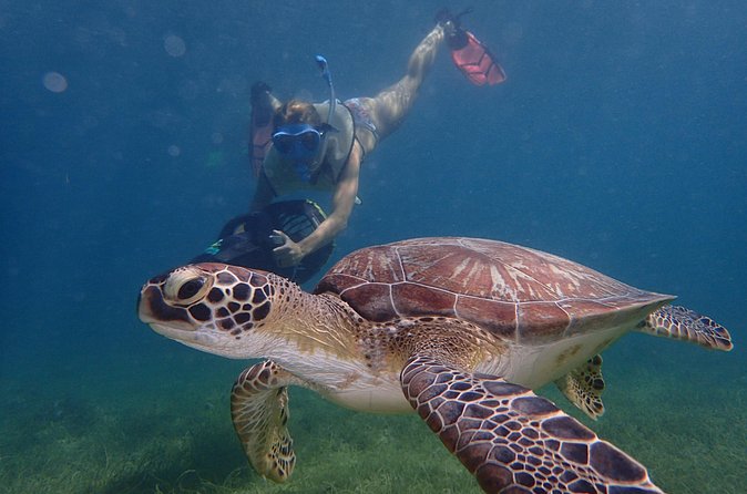 Turtle Beach Power Snorkeling Adventure - Who should book this Antigua outing?